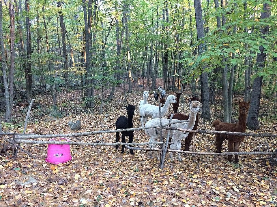 Are You Ready to Build?