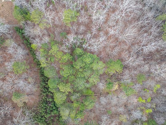 3rd image of 0 Castleberry Rd