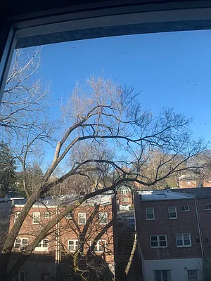 Rented by Prime City Listings LLC | media 14