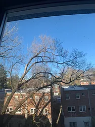 Rented by Prime City Listings LLC