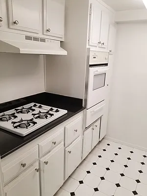 Rented by Manhattan Apartment Organization | media 25