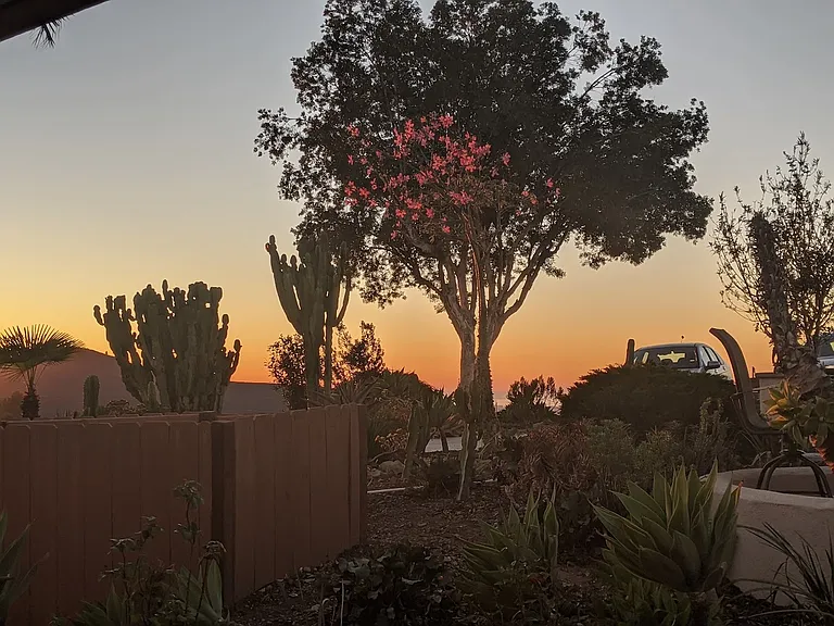 121 Washingtonia Dr — Photo 9