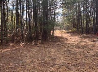 10 Acres Scott Road, Pollocksville, NC 28573