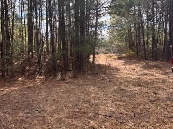 10 Acres Scott Road, Pollocksville, NC 28573