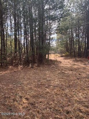 10 Acres Scott Road, Pollocksville, NC 28573