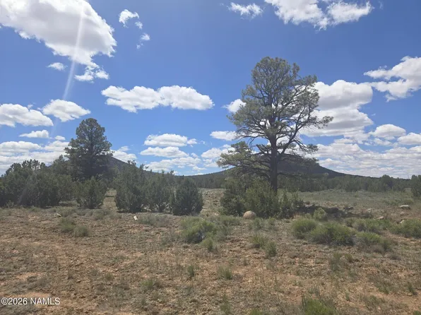 7434 N Elk Run Trl, Williams, AZ 86046