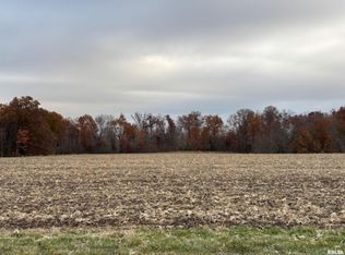 000A Alma Hatchery Rd, Odin, IL 62870