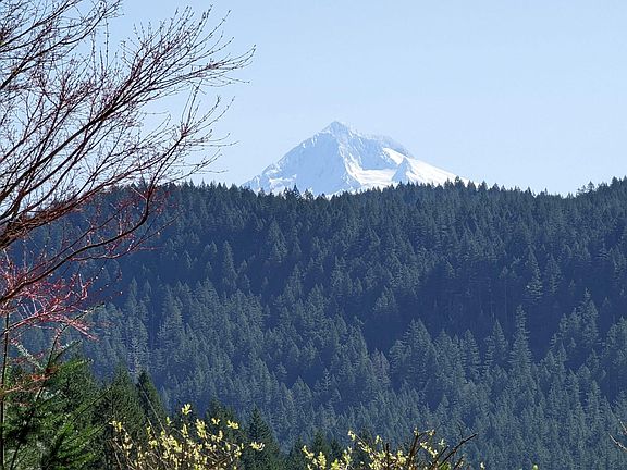 Enjoy the view of Mt. Hood from your new home.