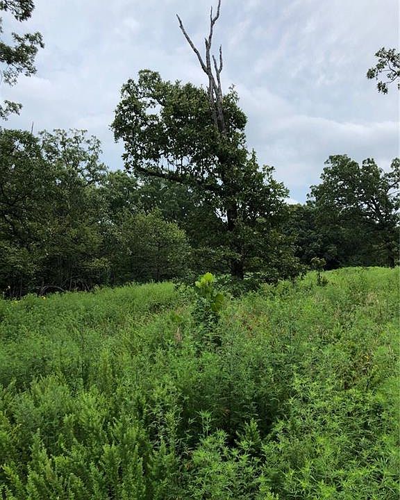 1st image of 52364 County Road 586