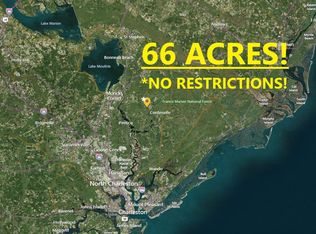 0 Backwoods Way, Cordesville, SC 29434