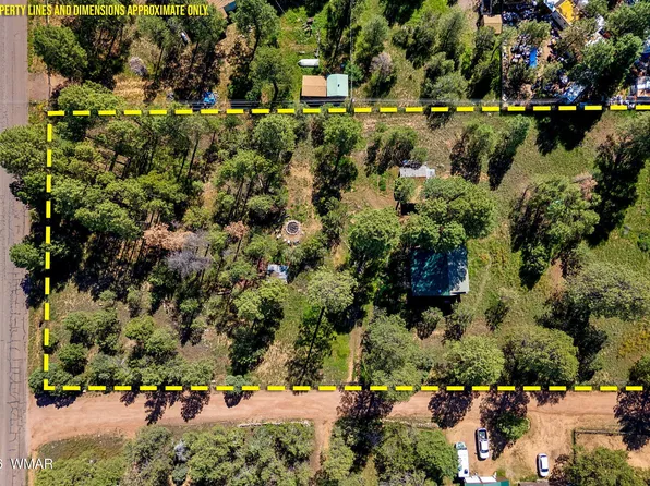 2877 Turkey Trl, Overgaard, AZ 85933