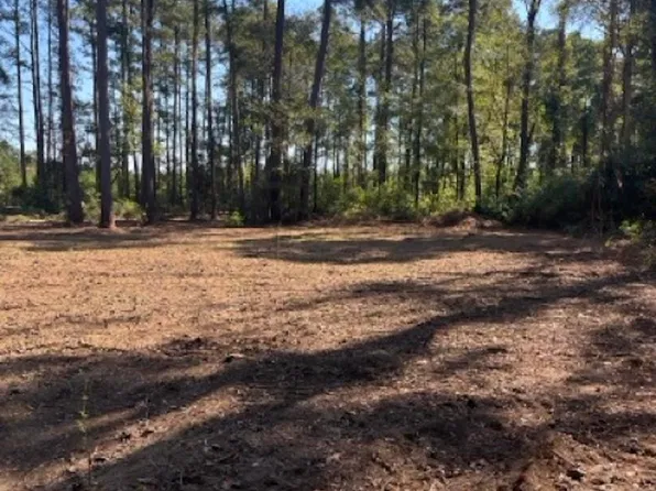Jh Jenkins Ln, Denham Springs, LA 70706
