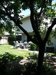 Rear yard