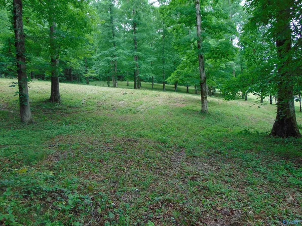 County Road 608, Valley Head, AL 35989