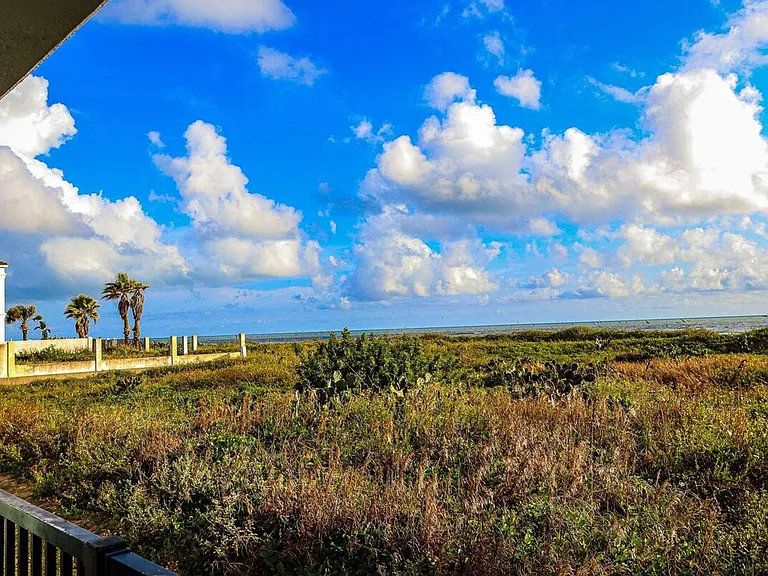 Window View