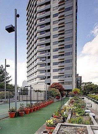 Roof garden 
