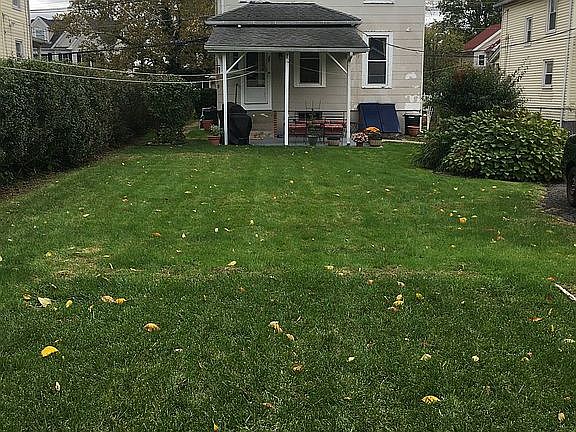 Spacious back yard and Rear 