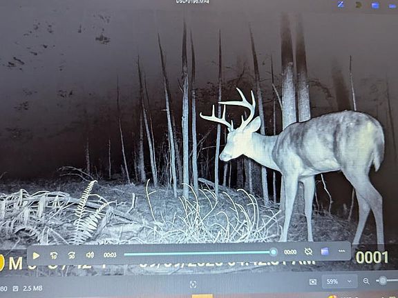 5th image of 427 Hemlock Ridge Rd