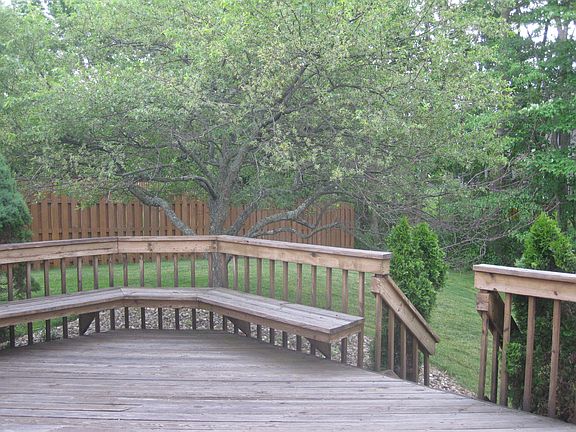 deck & back yard
