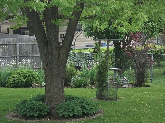5th image of 818 N Plaza Dr