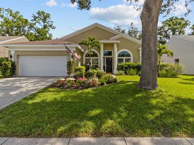 4271 Tremblay Way, Palm Harbor, FL, 34685