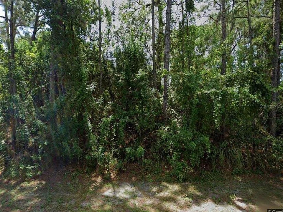 1st image of 1250 GINGOLD STREET NW LOT 13