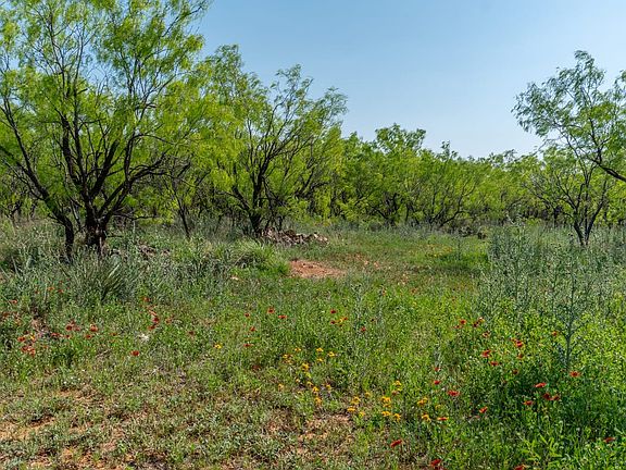 Lot For Sale in Sweetwater with Owner Financing Available