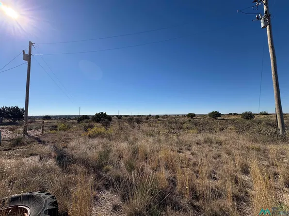 LOT 9 Quail Ln, Fort Sumner, NM 88119