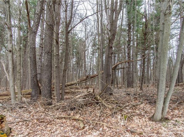 29573 Maple St, Black River, NY 13612