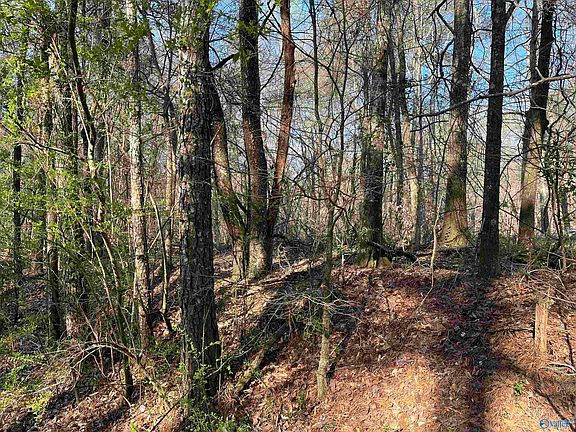 2nd image of 1 & Point #Of-2