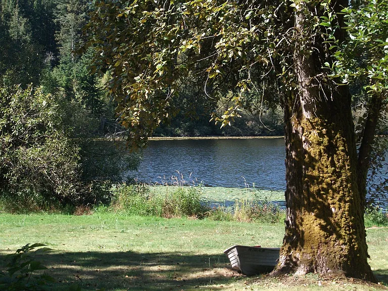 Shadow Woods — Photo 9