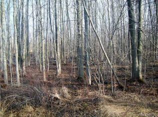 9150 Sesh Rd, Clarence Center, NY 14032