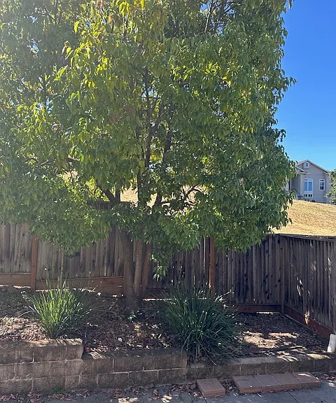 1944 Cooper Dr — Photo 30