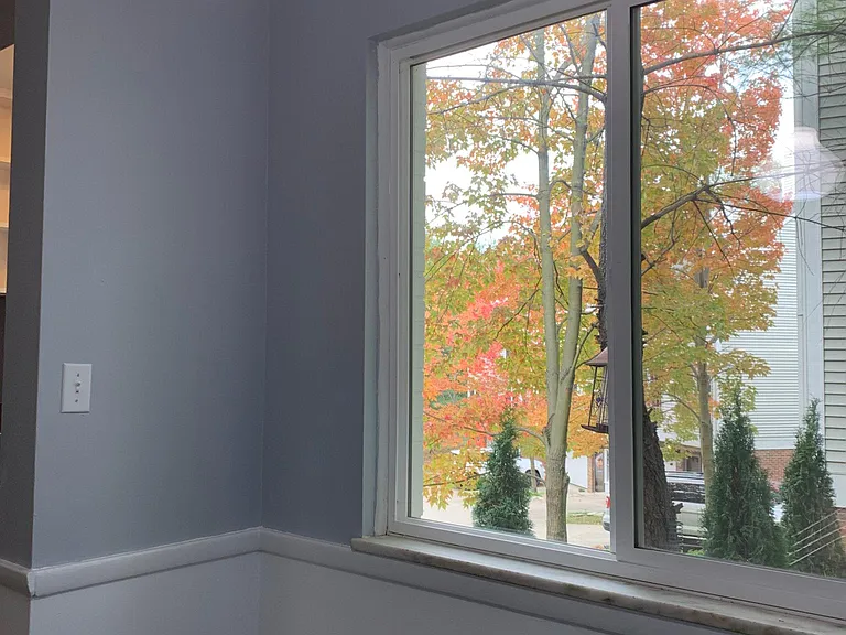 View from breakfast nook