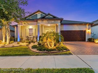 31921 Magna Gulf Loop, San Antonio, FL 33576