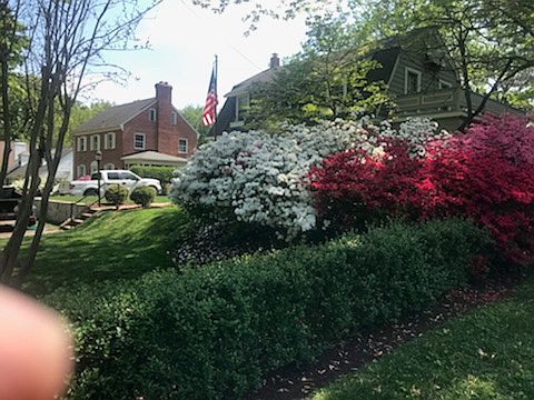 5th image of 8909 Kensington Pkwy