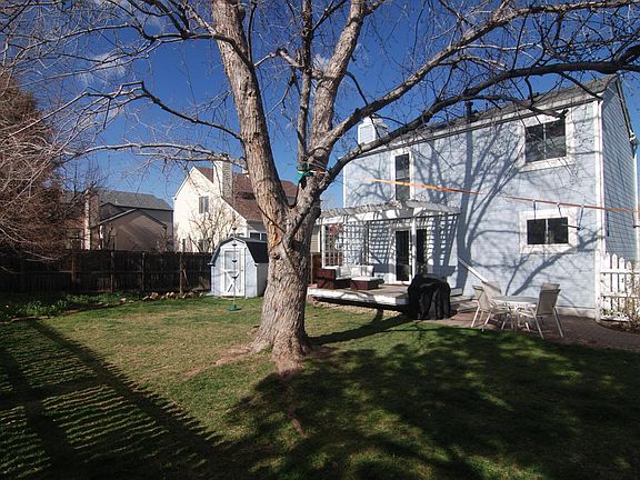 backyard from corner of yard where irises are and shade tree (in summer)