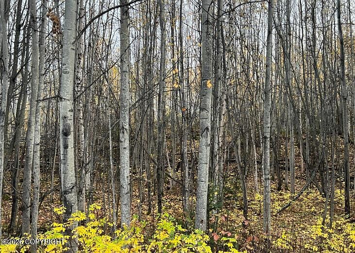 1st image of 5082 S Horseshoe Lake Rd