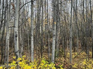 5082 S Horseshoe Lake Rd, Wasilla, AK 99623