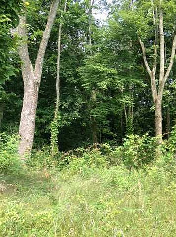2nd image of 117 Fallen Ash Dr
