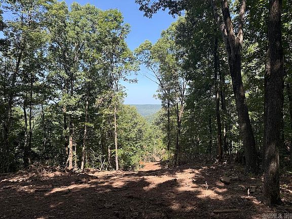 2nd image of County Road 959 Grn