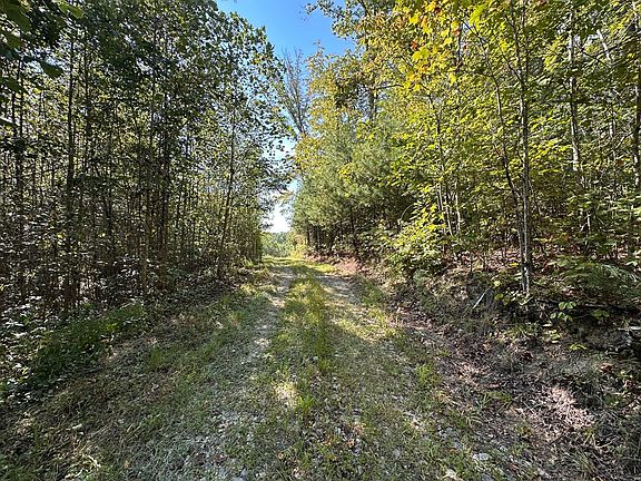 4th image of 13.44 Ac Chestnut Ridge Rd