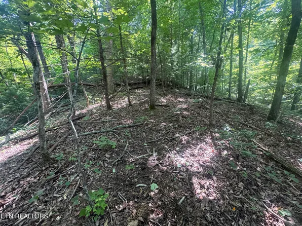 332 Padgett Mill Rd, Cosby, TN 37722
