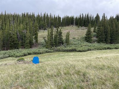 00 FOREST ROAD 450, Alma, CO, 80420