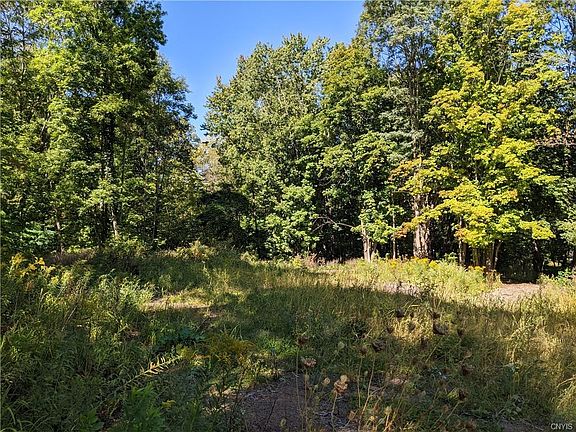 4th image of 7667 Van Buren Rd