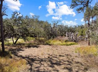 12111 Fred Dr, Riverview, FL 33578