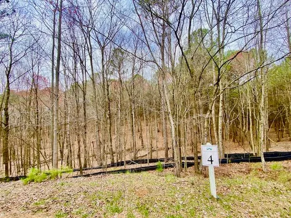 0 Oval Leaf Ln, Ellijay, GA 30536