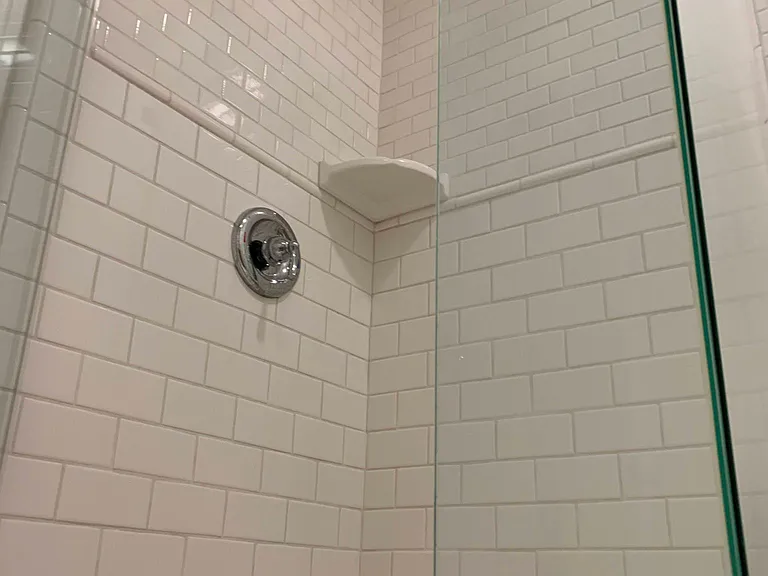 Guest Bath Shower