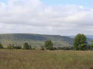 0 Simons Rd, Berne, NY 12009