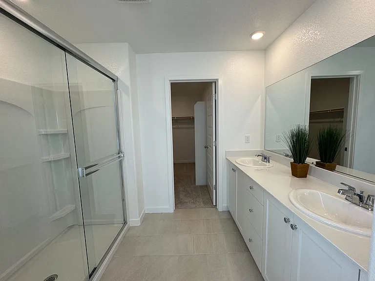 Master bathroom with huge walk-in closet
